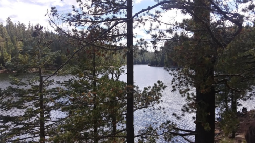 A serene lake surrounded by tall trees under a partly cloudy sky.